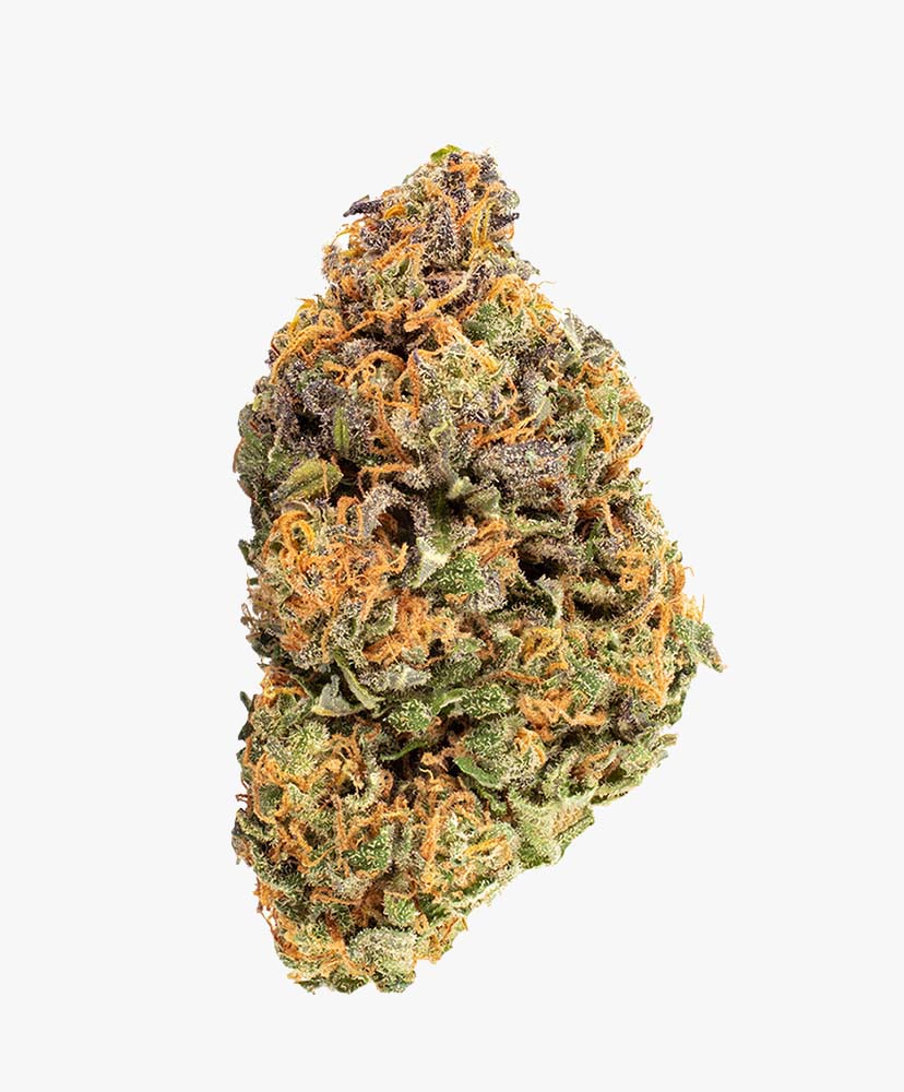 CBD Charlottes Angel Bud