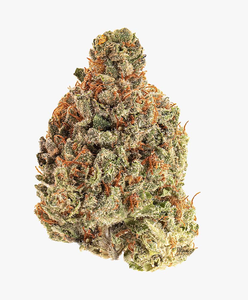 Crescendo Cookies Bud 2