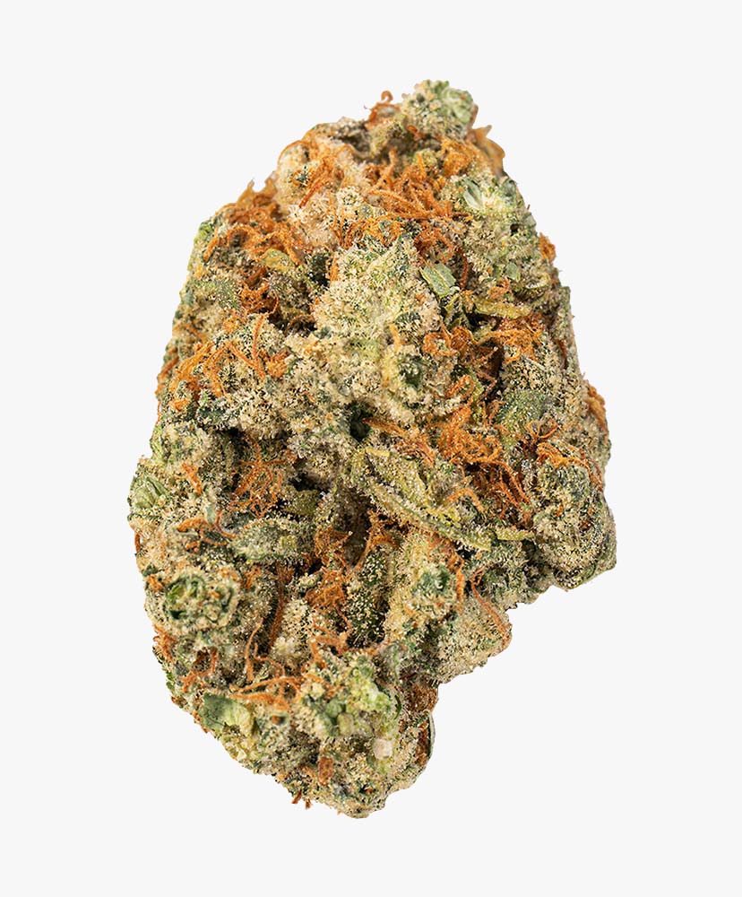 Atlantic Glue GG4 Bud 3